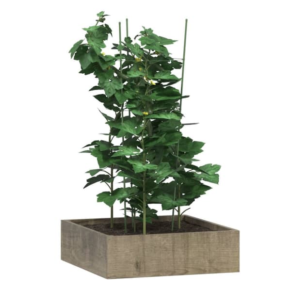 Växtstöd med 3 ringar 5 st grön 75 cm stål