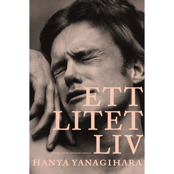 Ett litet liv (bok, storpocket)