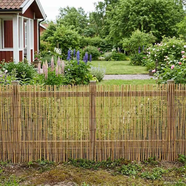 Trädgårdsstängsel Karbomiserad 400 x 100 cm Vass