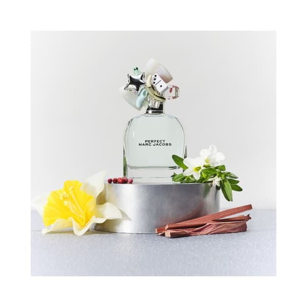 Perfect Edt 100ml