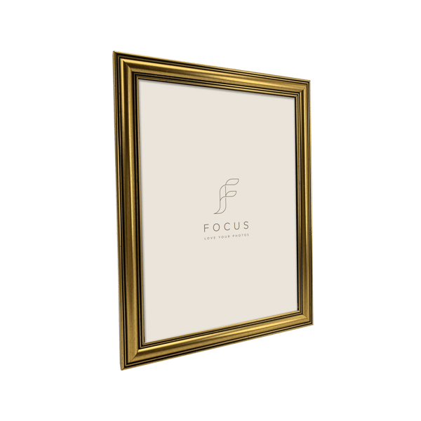 Focus Holly Gold 20x30