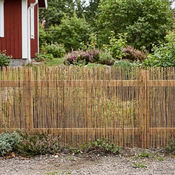 Trädgårdsstängsel Karbomiserad 600 x 100 cm Vass