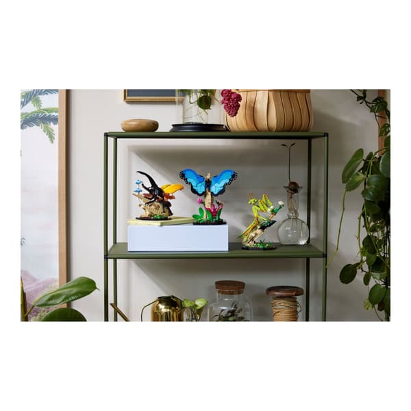 LEGO Ideas 21342 - Insektskollektionen - byggsats