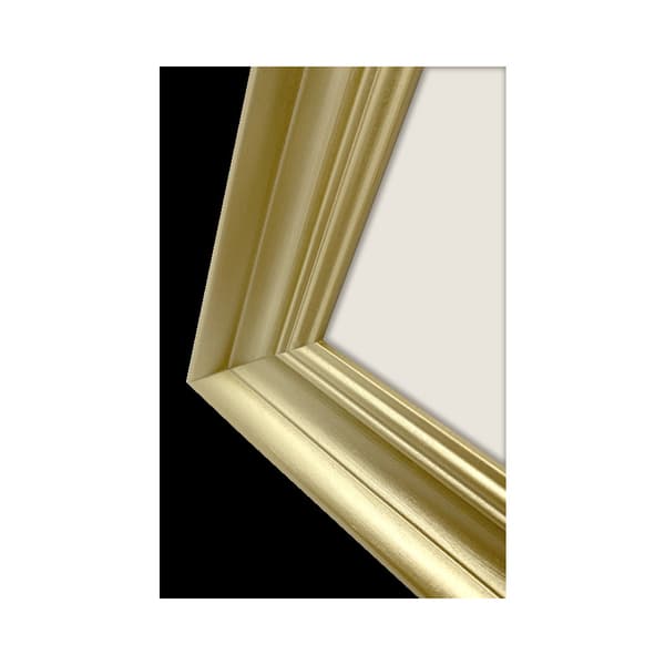 Focus Lotus Gold 30x40