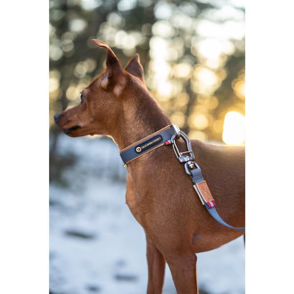 Secure Hundhalsband Grå XXS