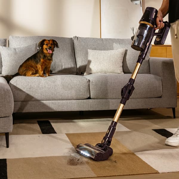 Conga Rockstar RS70 Pet Flex