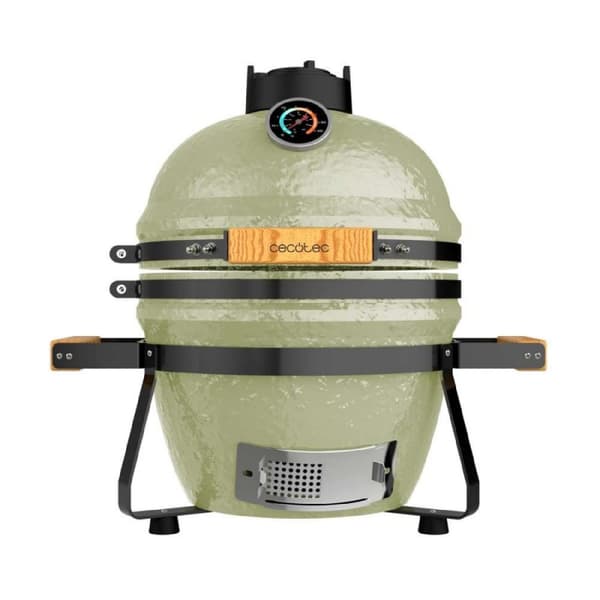 Dragonfire 3200 grill