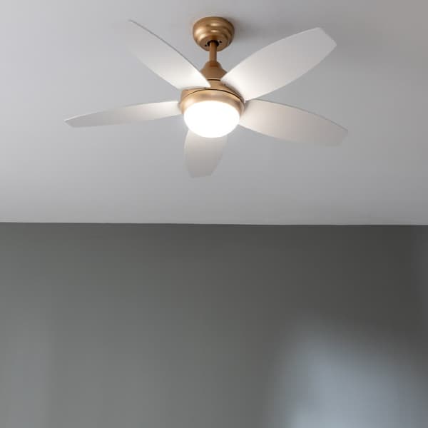 EnergySilence Aero 4200 GoldLightWood