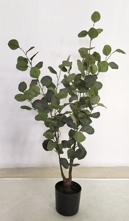 Eukalyptus Träd 95 cm
