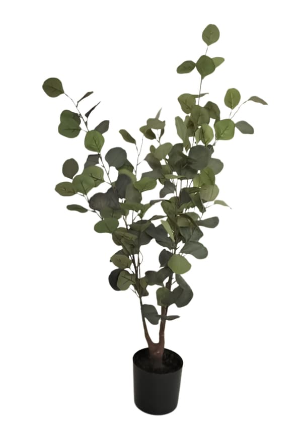Eukalyptus Träd 95 cm