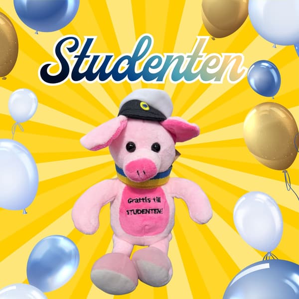 Student Gris Rosa med band 14 cm