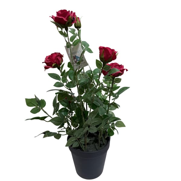 Ros i kruka Röd 41 cm
