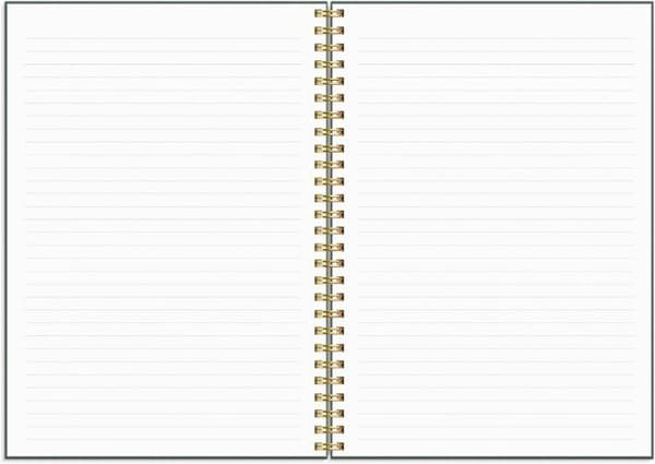 Life Planner Do more 2027