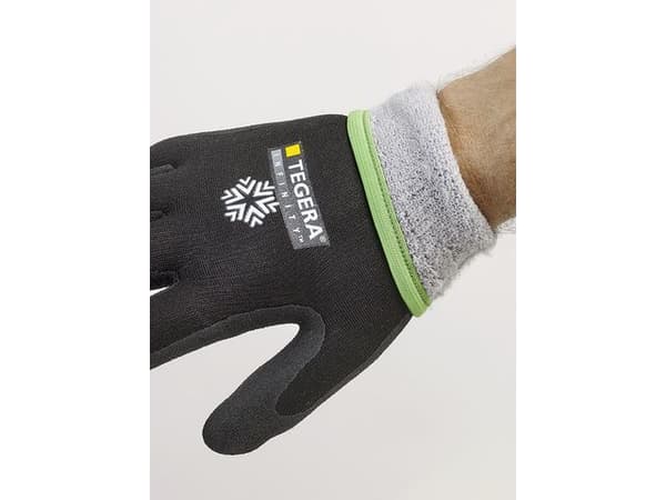 Vinterhandske TEGERA 8810R Infinity 10