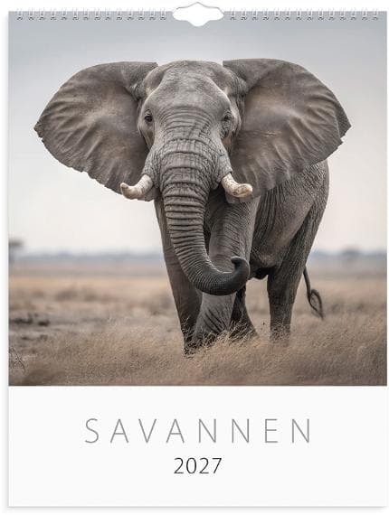 Väggkalender Savannen 2027