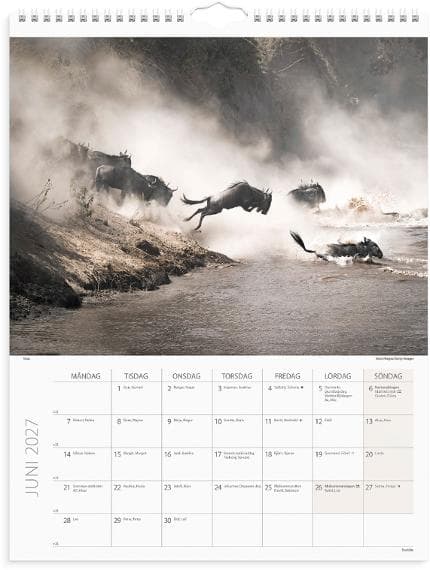 Väggkalender Savannen 2027