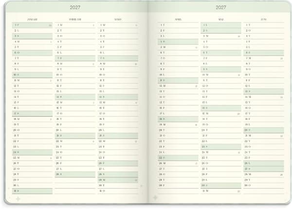 Life Planner Dream & Do 2027