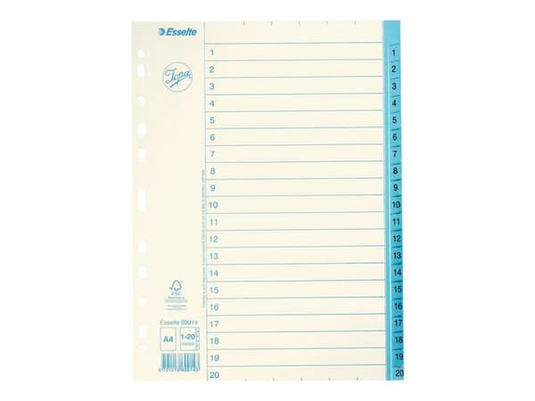 Pappregister JOPA A4 1-20 vit/blå 10st