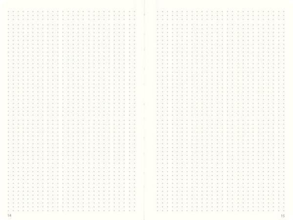 Anteckningsbok DotNotes FSC svart