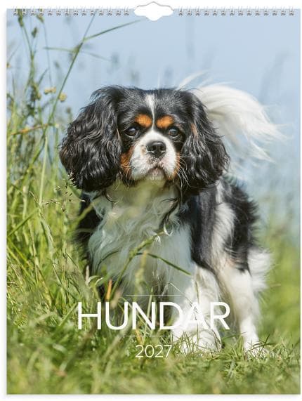 Väggkalender Stora Hundkalendern 2027