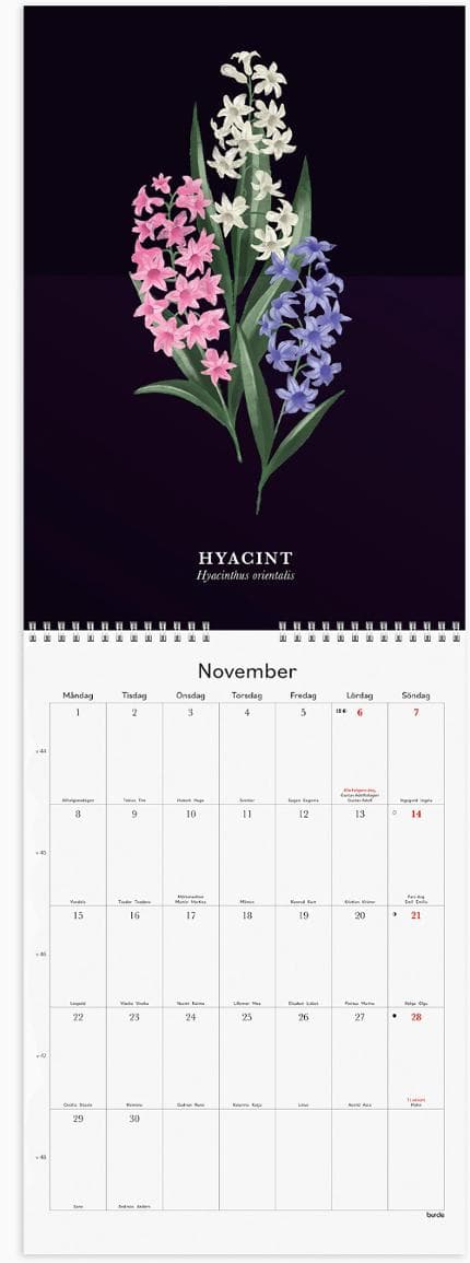 Väggkalender Illustrerad blomster 2027