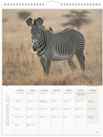 Väggkalender Savannen 2027