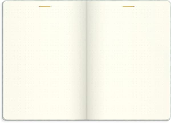 Life Planner Dream & Do 2027