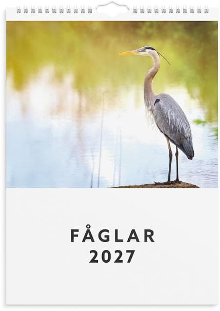 Väggkalender Fåglar 2027