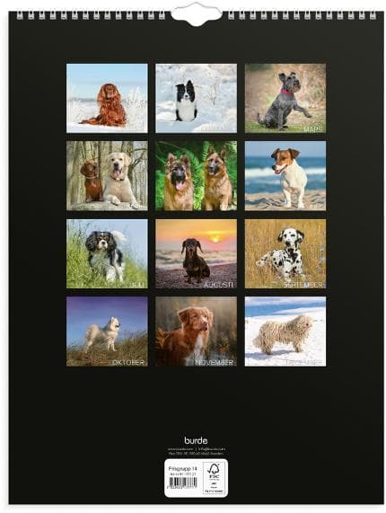 Väggkalender Stora Hundkalendern 2027