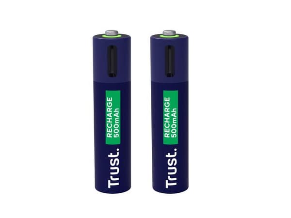 Batteri Laddbar TRUST AAA USB-C 2/fp