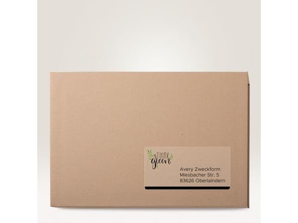 Etikett AVERY transp 210x297mm 25/fp