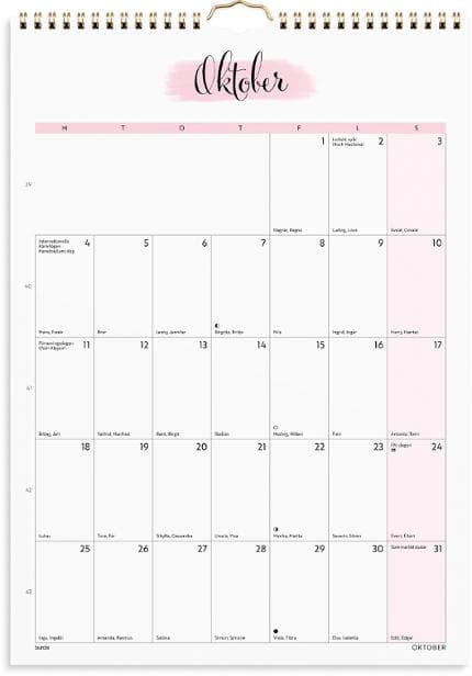 Väggkalender Life Organizer 2027