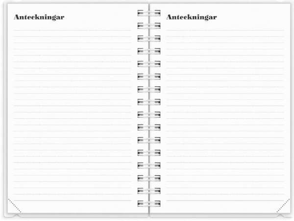 Dagbok 4i1 2027