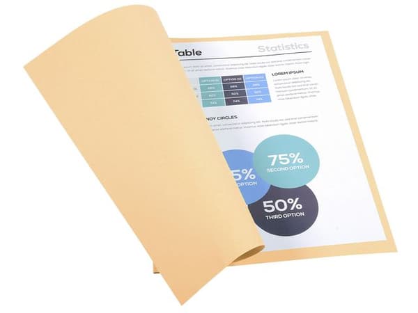 Mapp EXACOMPTA utan klaff A4 beige 100st