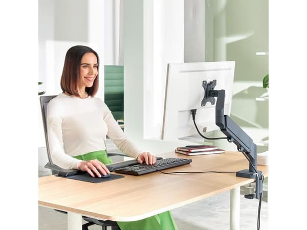 Monitorarm LEITZ Ergo Singel
