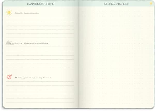 Life Planner Dream & Do 2027