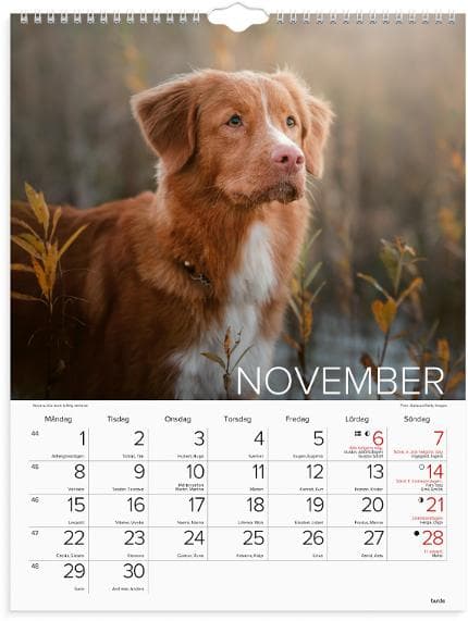 Väggkalender Stora Hundkalendern 2027