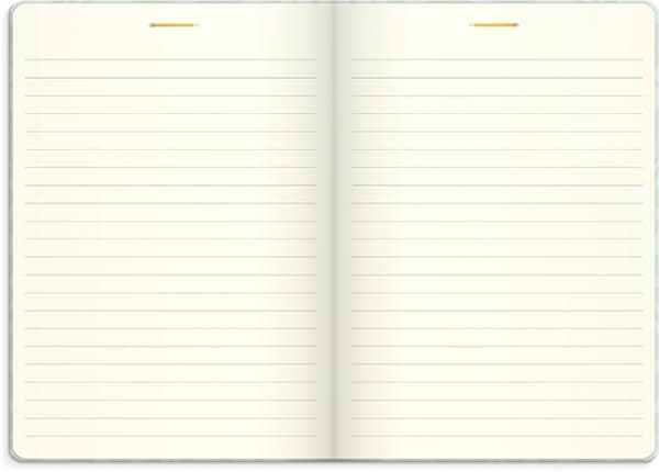 Life Planner Dream & Do 2027