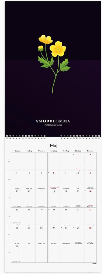 Väggkalender Illustrerad blomster 2027