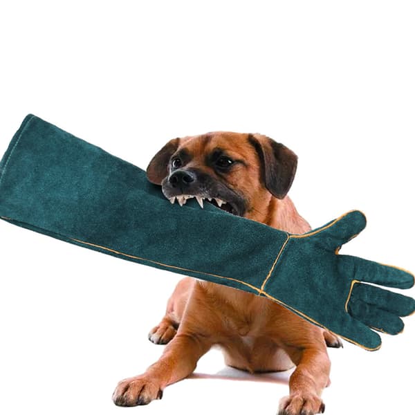 Djurhanteringshandskar, bitsäkra, 62 cm hållbara bitsäkra