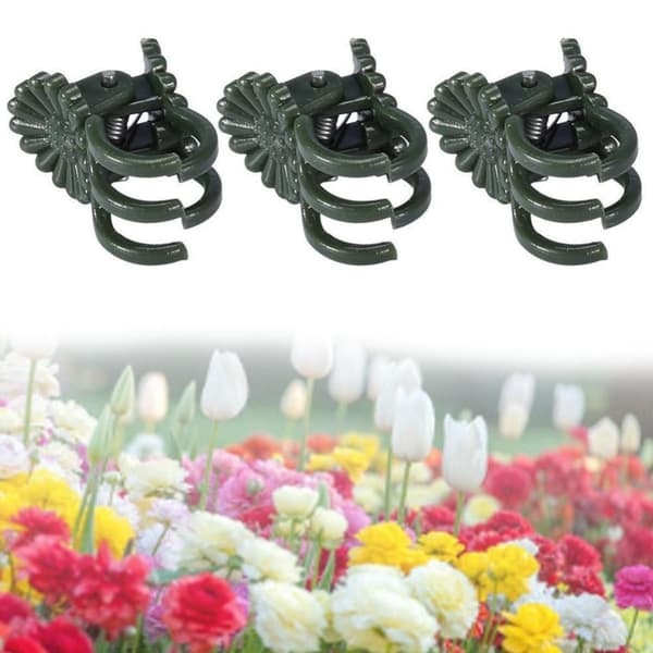 100-pack orkidéklämmor orkidéklämmor vertikal grenstöd för blomsterodling