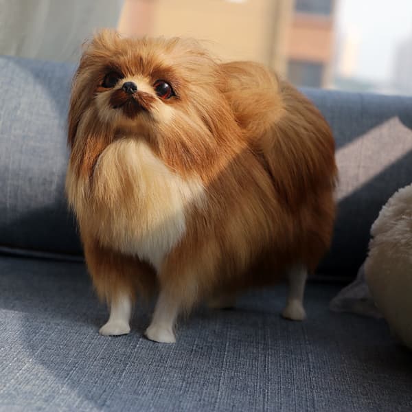 Pehmolelut, simuloidut koirat, pomeranian