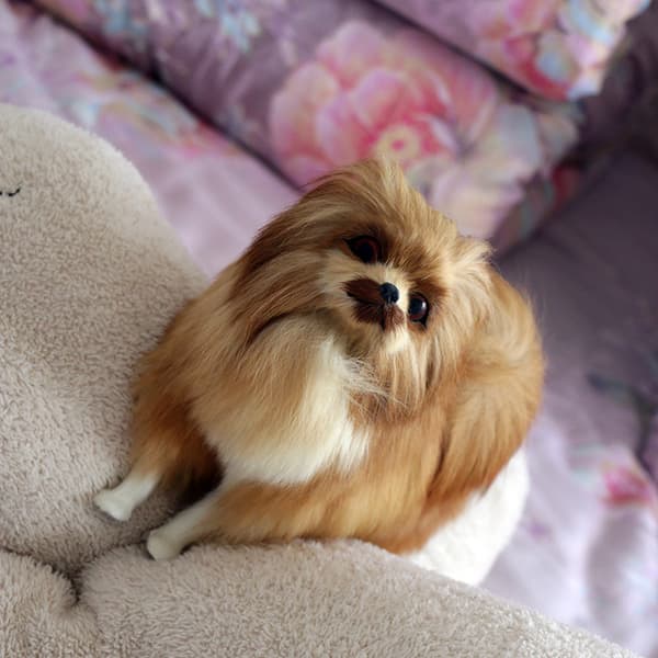Pehmolelut, simuloidut koirat, pomeranian