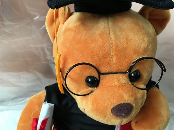 Bamse med briller - 18 cm, diplom og doktorhat -