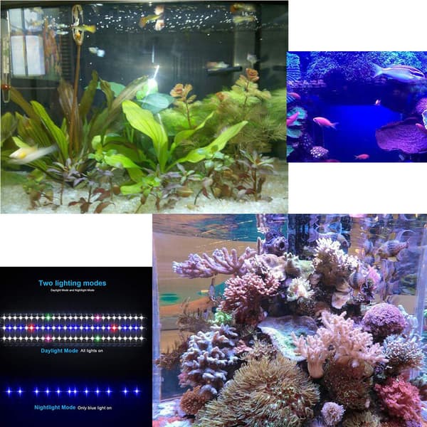 Akvarium LED Lampe 30cm