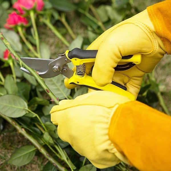 Lange læderhavehandsker til kvinder og mænd, tornefaste handsker