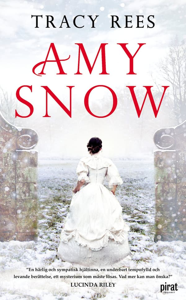 Amy Snow 9789164207562