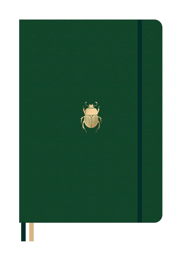 Dingbats* Pro B5 Beetle Notebook - Dotted 9780948432316