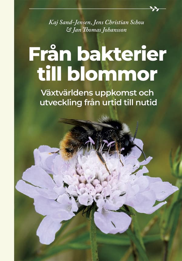 Från bakterier till blommor 9789197922074
