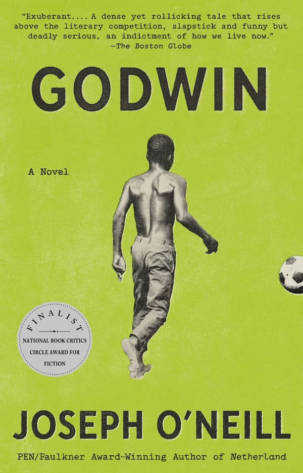 Godwin: A Novel 9780593687154